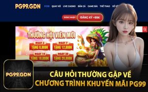 Câu Hỏi Thường Gặp Về Chương Trình Khuyến Mãi PG99